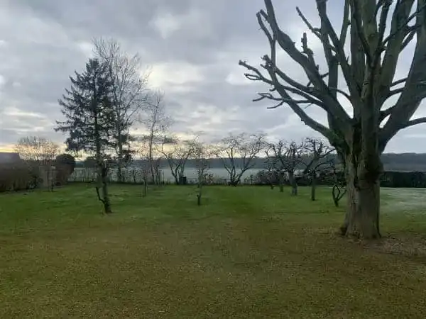 Arbres tailles parc prairie - Parisy Espaces Verts, paysagiste dans l'Eure (27)