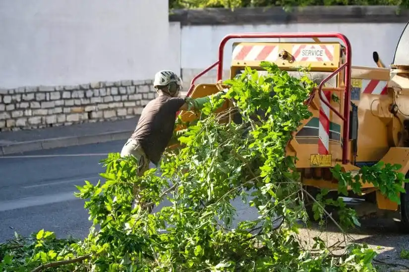 Broyage dechets verts branches - Parisy Espaces Verts, paysagiste dans l'Eure (27)