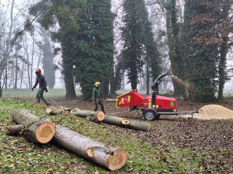 abattage d arbre dans l eure 27 m parisy
